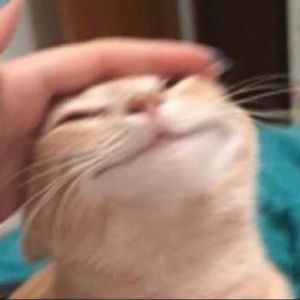 Meet your Posher, Mckinzie